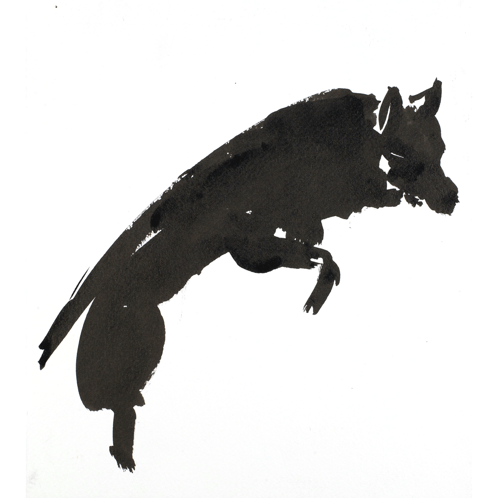 2011 · Lttle Red Riding Hood