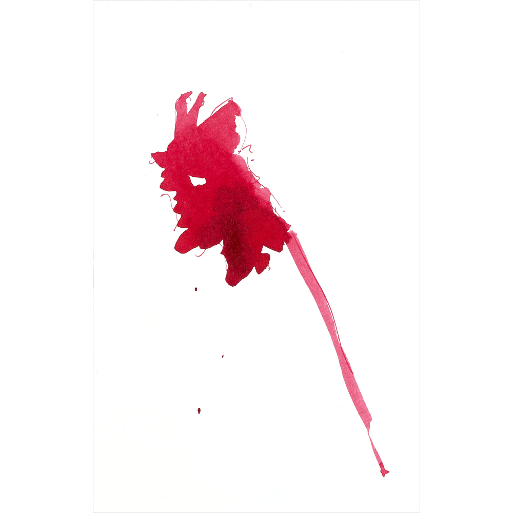 2012 · Little Red Riding Hood