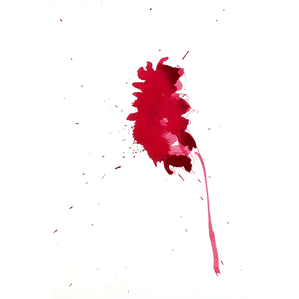 2012 · Little Red Riding Hood · a bleeding flower