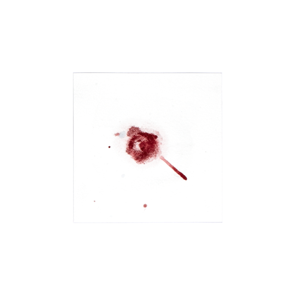 2013 · Little Red Riding Hood