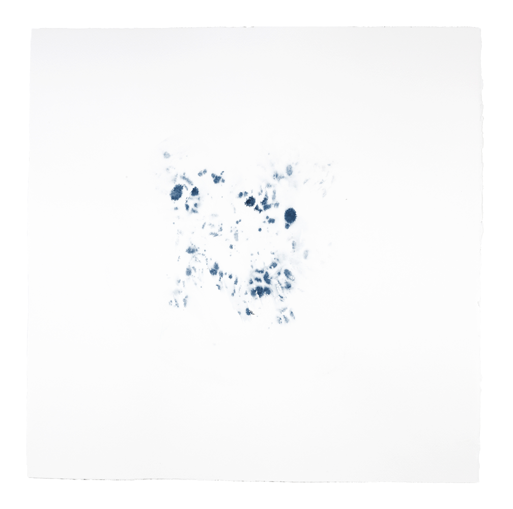 2014 · Figment in Oxford Blue IV