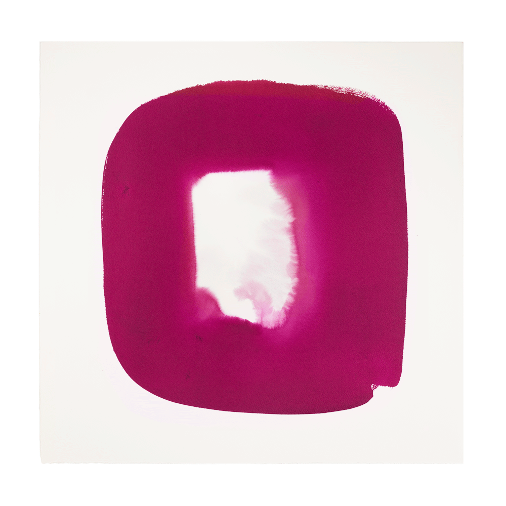  Aperture in Raspberry II, 2015 Acrylic on watercolor paper 28 x 28 inches   