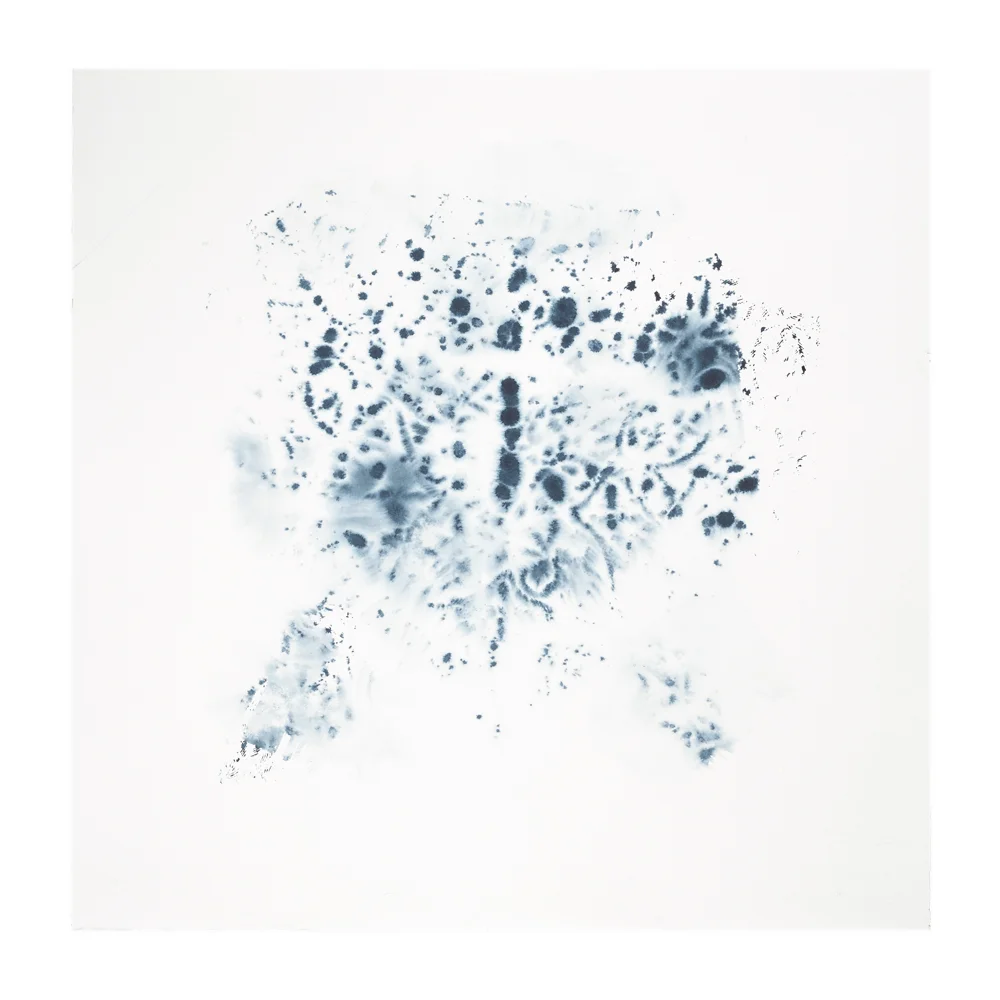 2014 · Figment in Indigo II