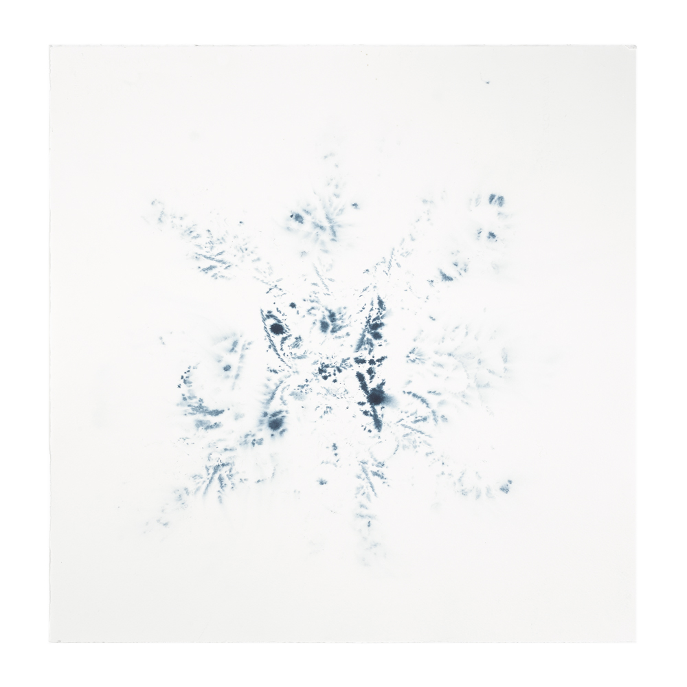 2014 · Figment in Indigo I ◎