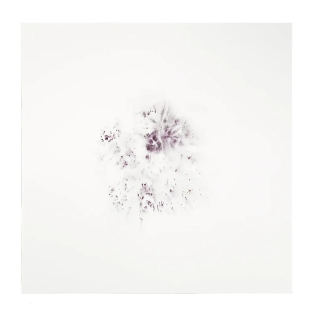 2015 · Figment in Purple I ◎