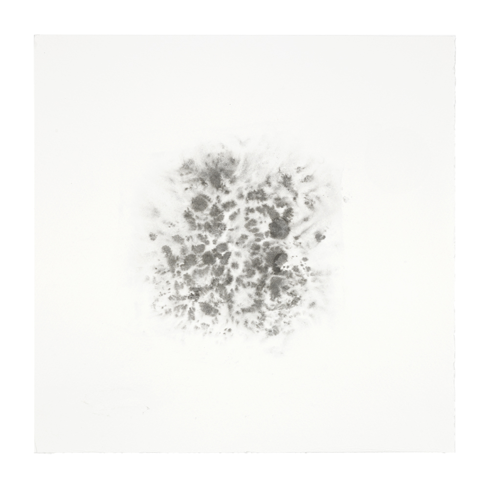 2015 · Figment in Grey I ◎