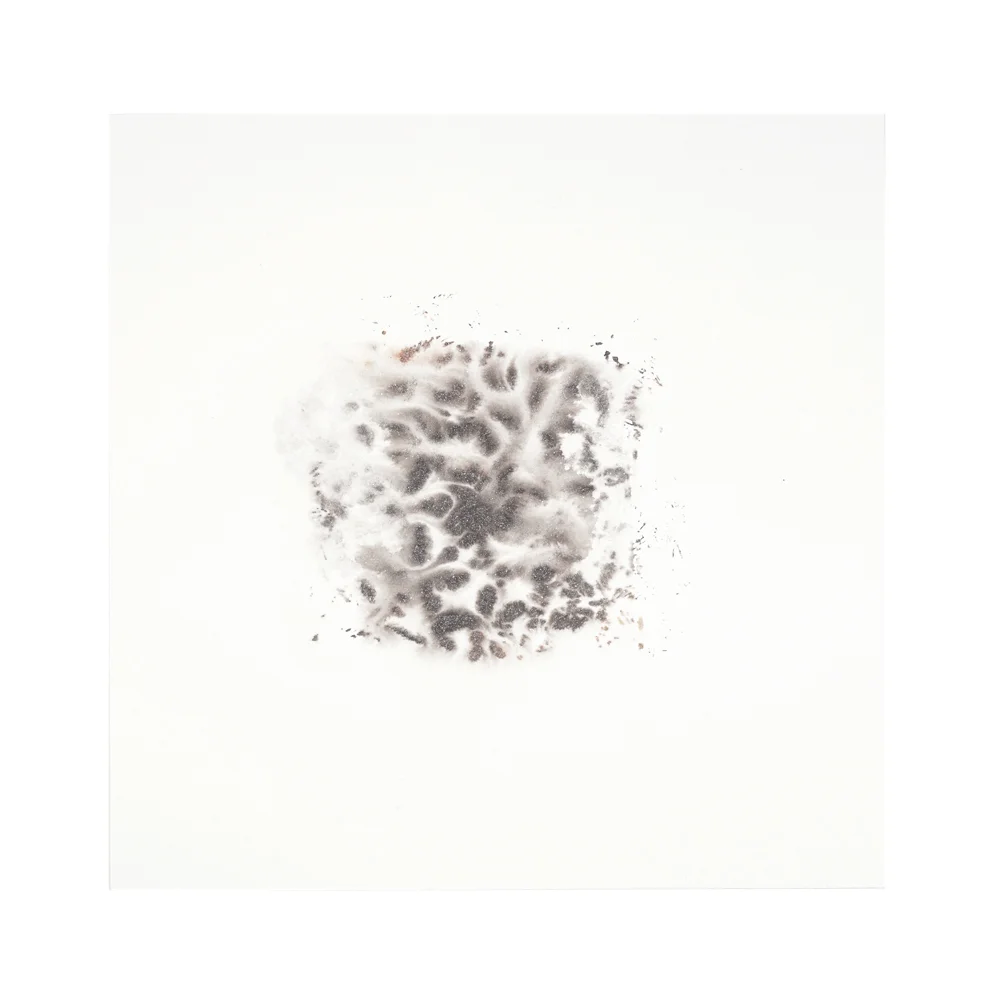 2015 · Figment in Platinum Black & Rose III ◎