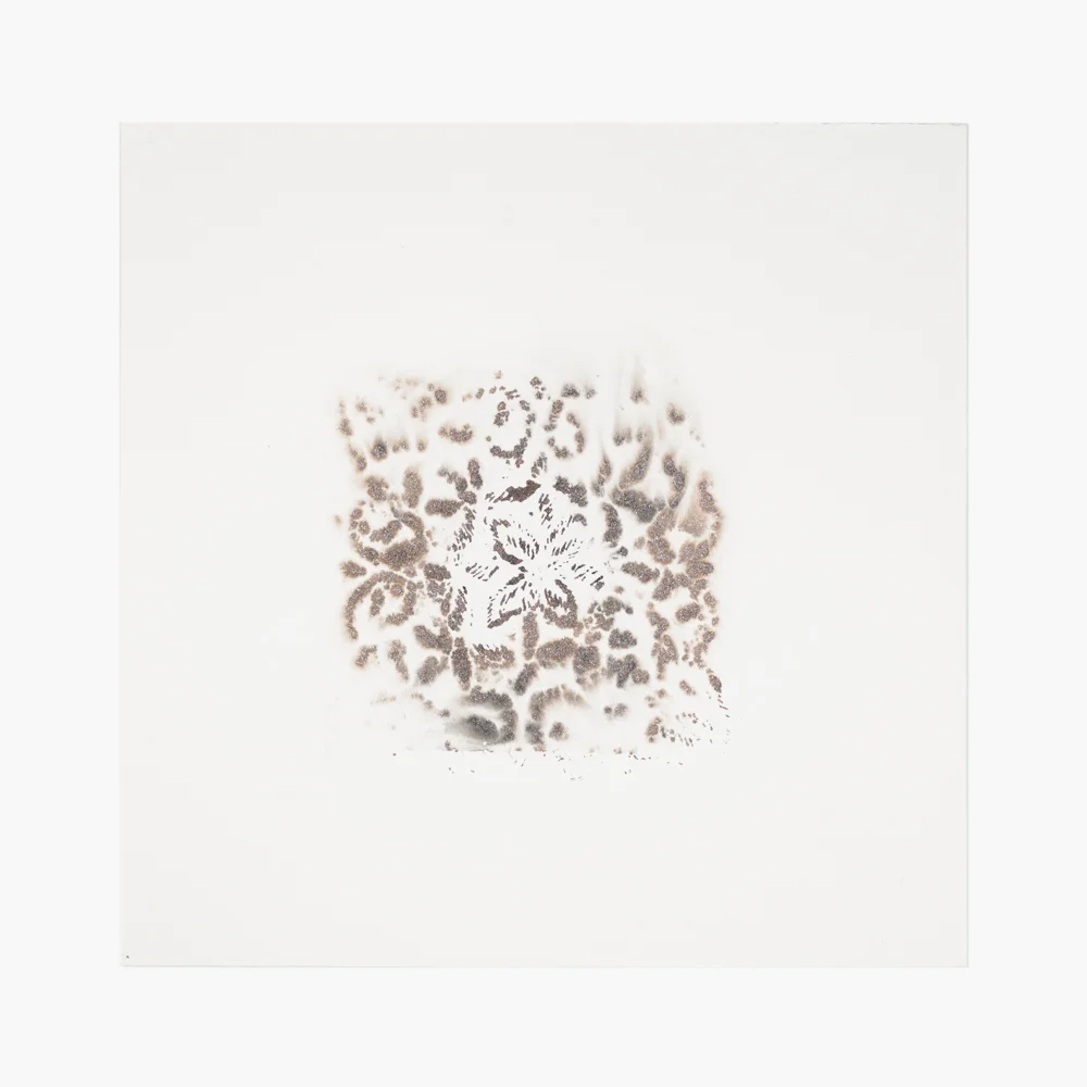 2015 · Figment in Black & Brillant Sierra Terra Rosa I ◎