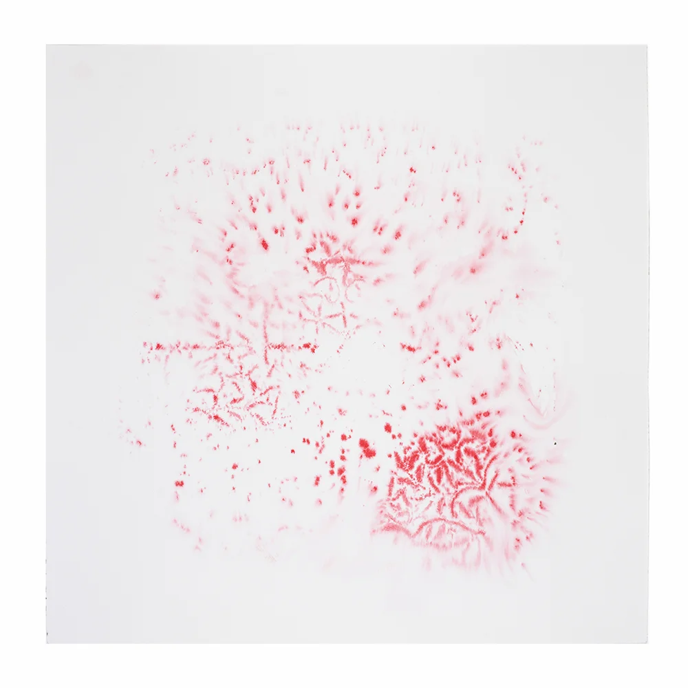 2014 · Figment in Red I ◎