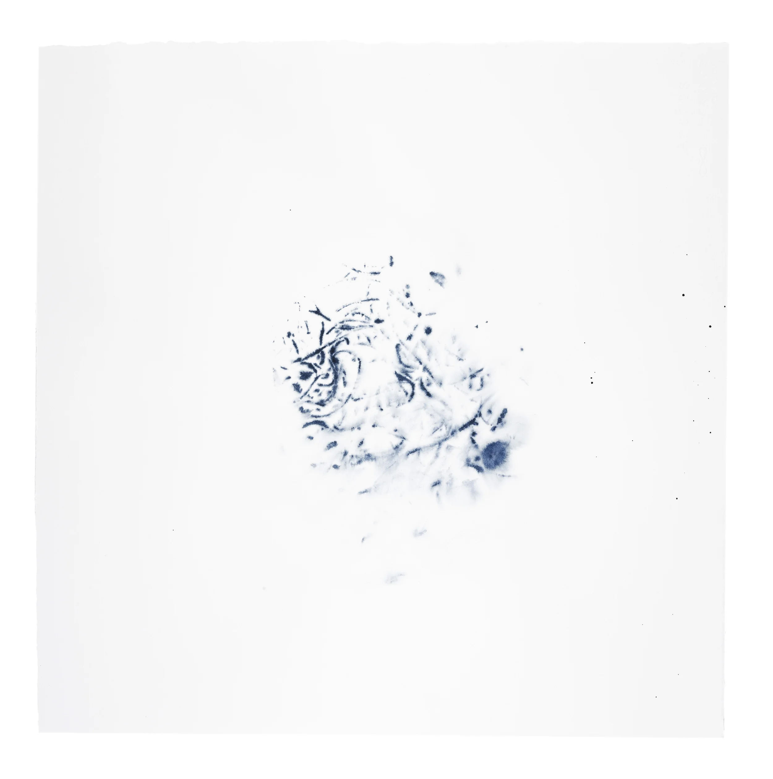 2014 · Figment in Oxford Blue V