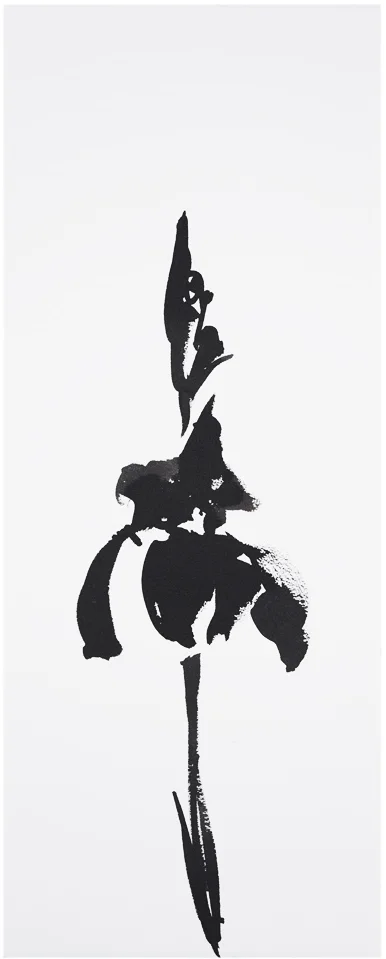 Botanical Study · Iris #17