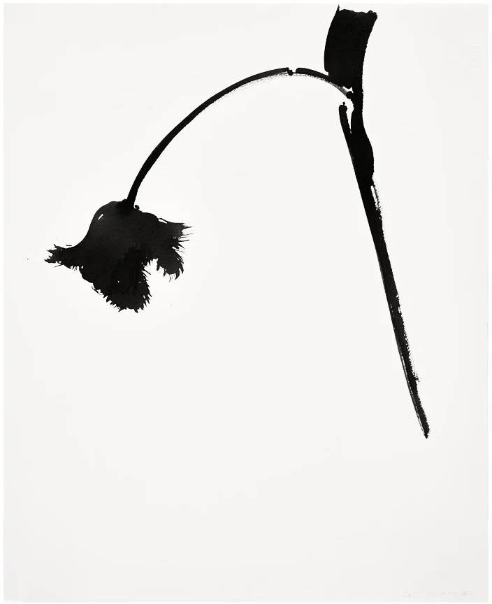 Botanical Study - Fringed Tulip #1 ◎