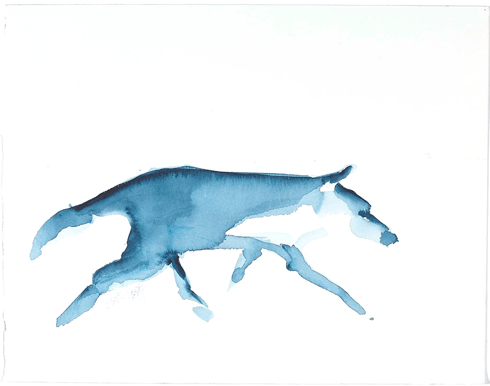 2012 · Little Red Riding Hood - wolf study #1