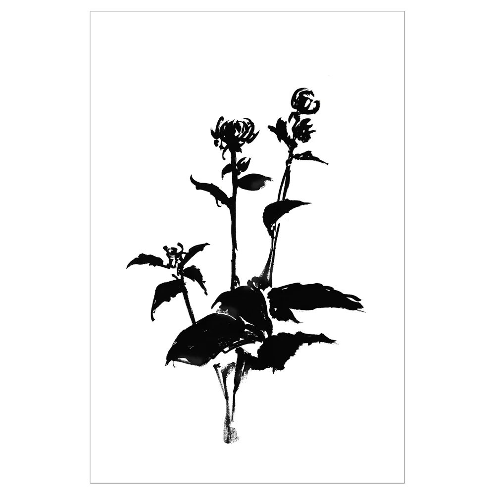 DALHIA 5 - PRINT1000FRAMED&SQ.jpg