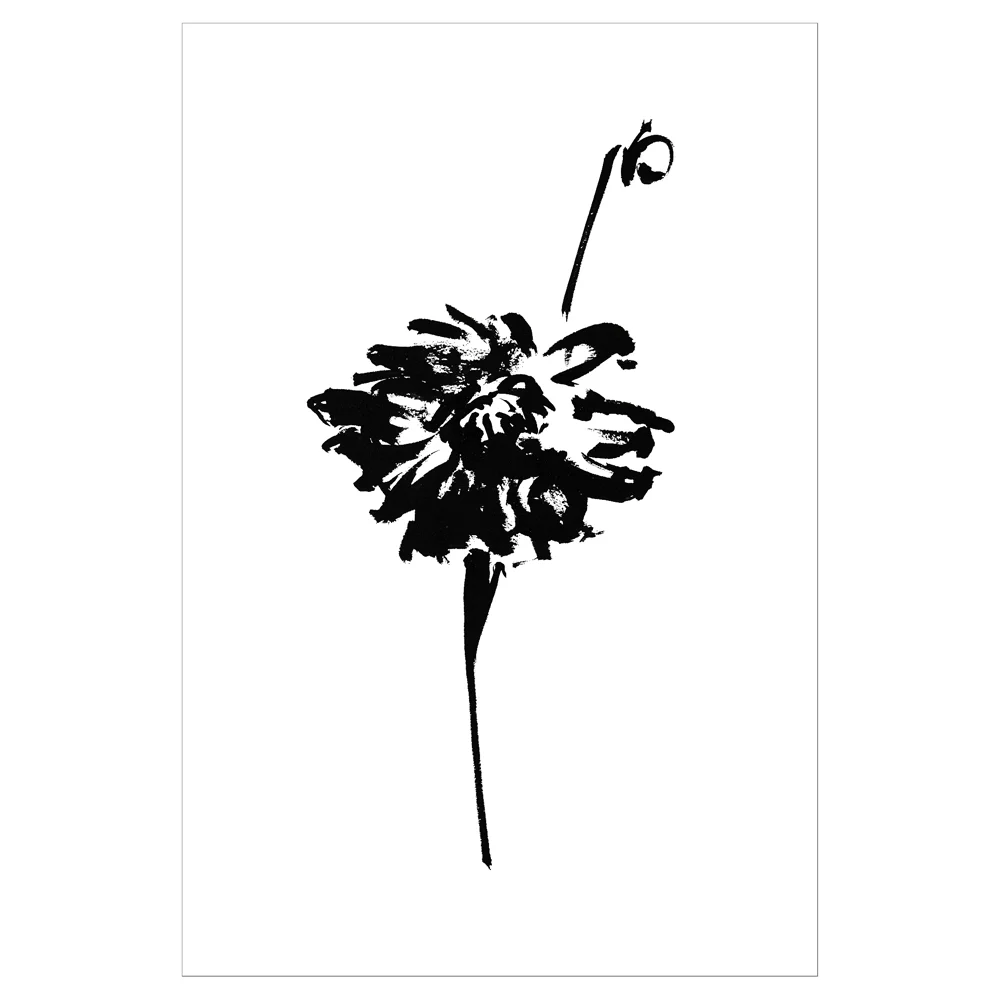 DALHIA-2 12x18 PRINT-Rlse1000FRAMED&SQ.jpg