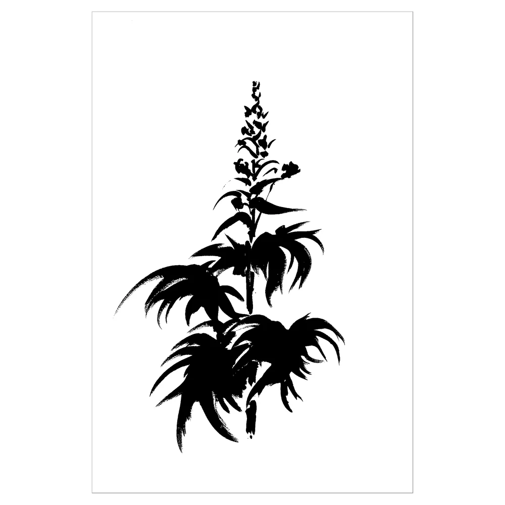 DELPHINIUM-1 PRINT 12X18-1000 FRAMED&SQ.jpg