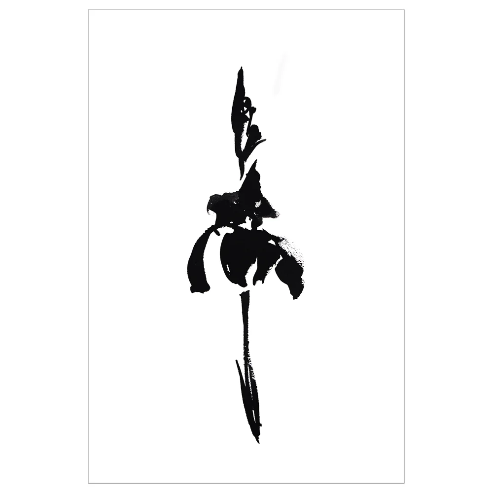 IRIS 17 - 12X18-Rlse1000 FRAMED SQ.jpg