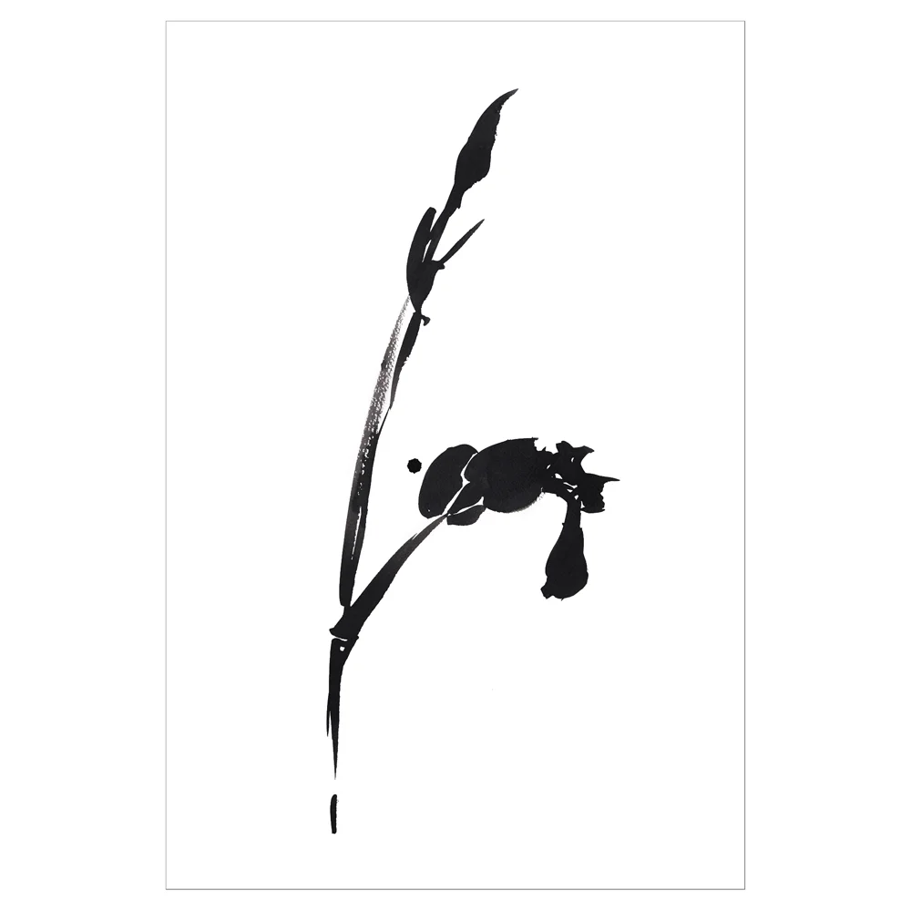 IRIS 12 - PRINT-1000 FRAMED&SQ.jpg