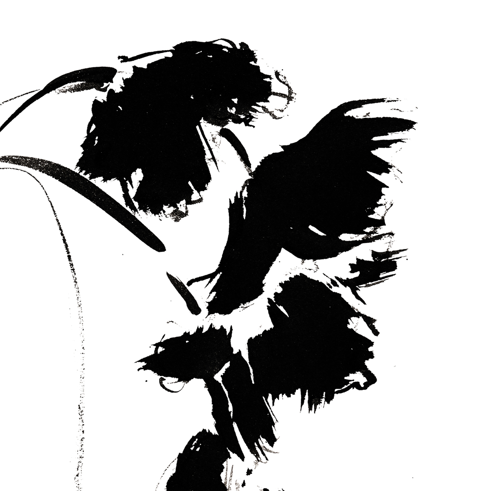 FRINGED TULIP-5 DETAIL SQ 1000.jpg