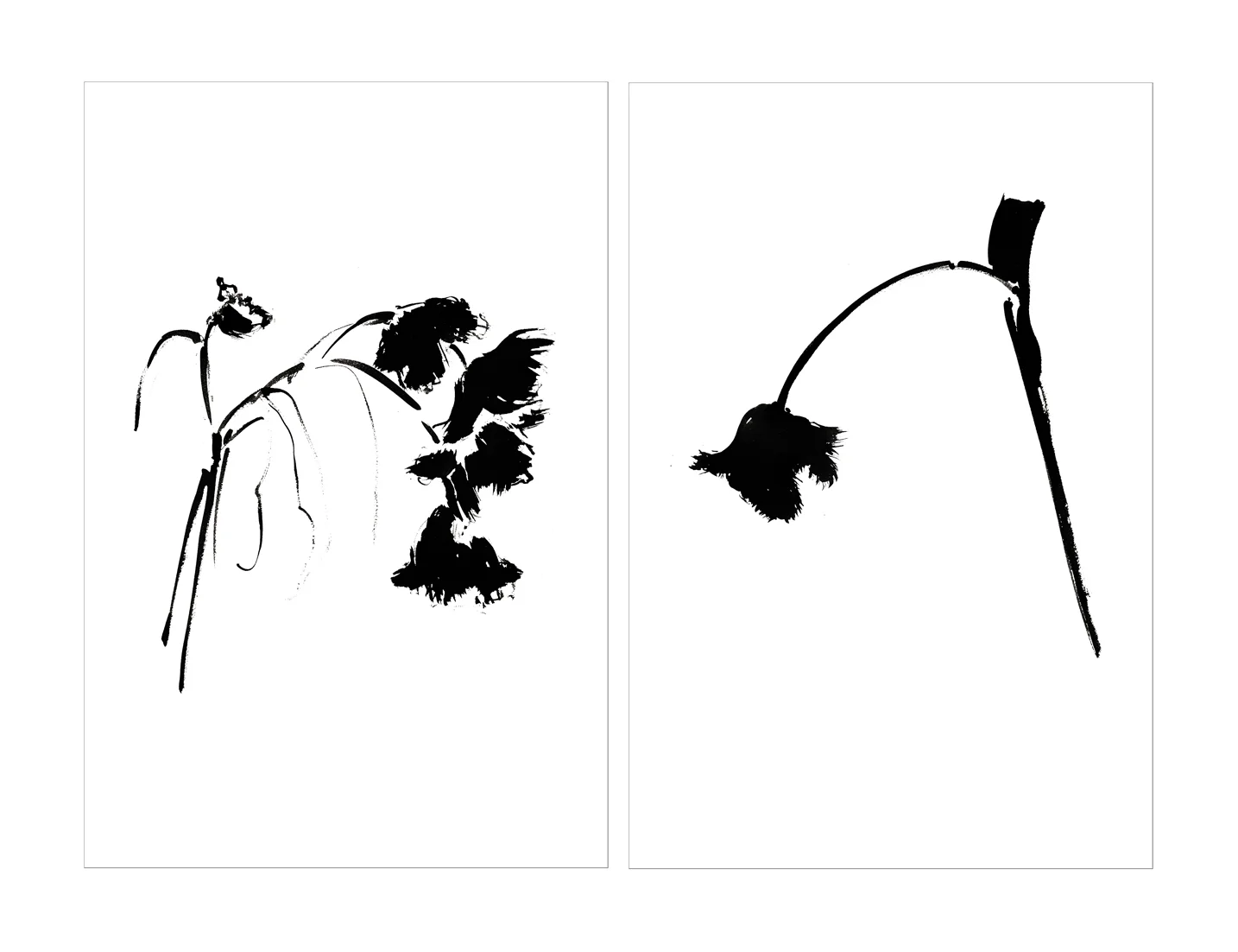 FRINGED TULIP DIPTYCH .jpg