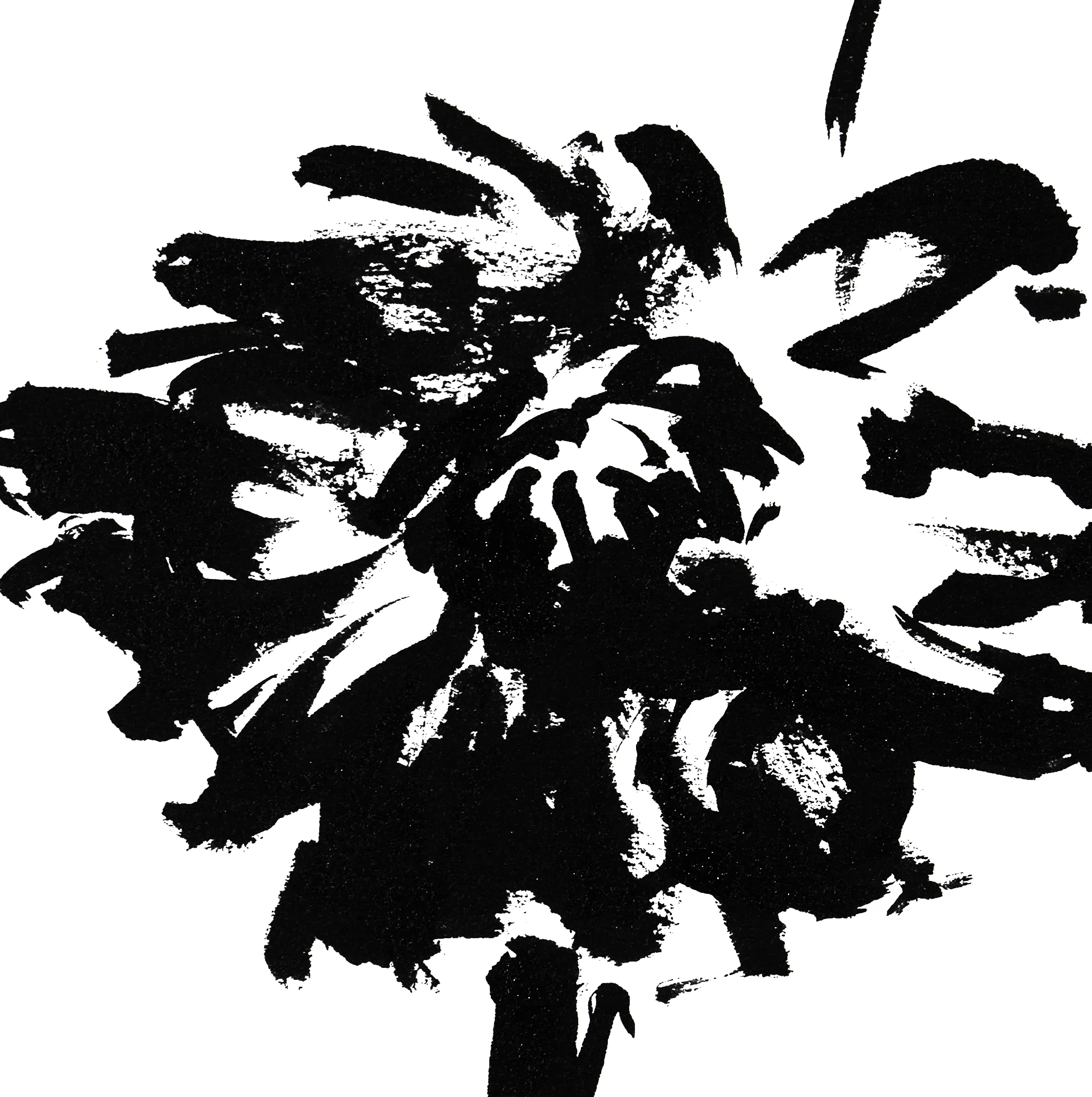 DALHIA-2 12x18 PRINT DETAIL SQ LARGE-Rlse.jpg