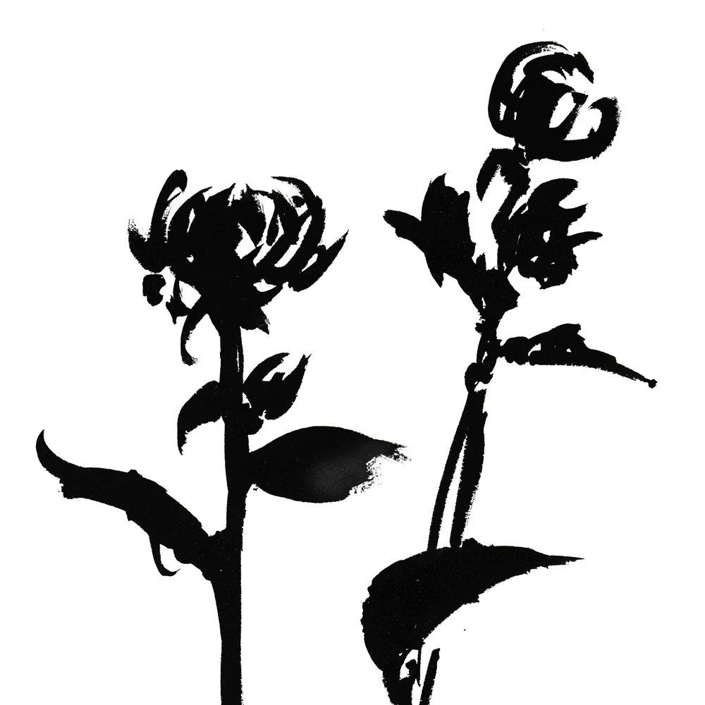 DALHIA 5 -DETAIL SQ.jpg