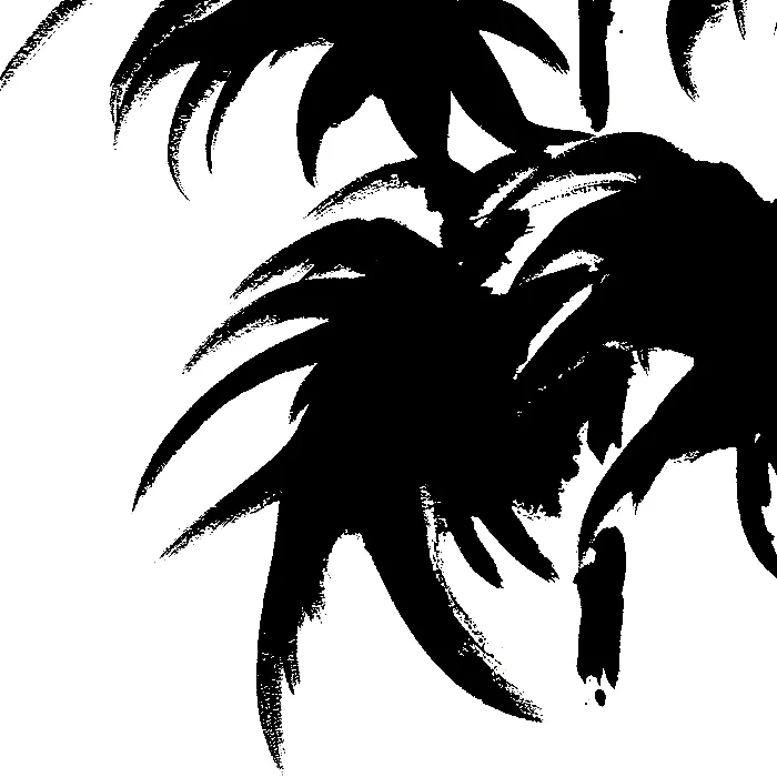 DELPHINIUM-1 PRINT 12X18-DETAIL SQ.jpg