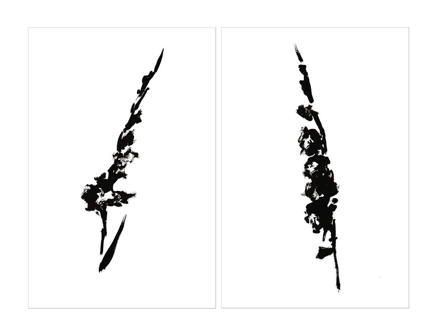 GLADIOLUS DIPTYCH.jpg
