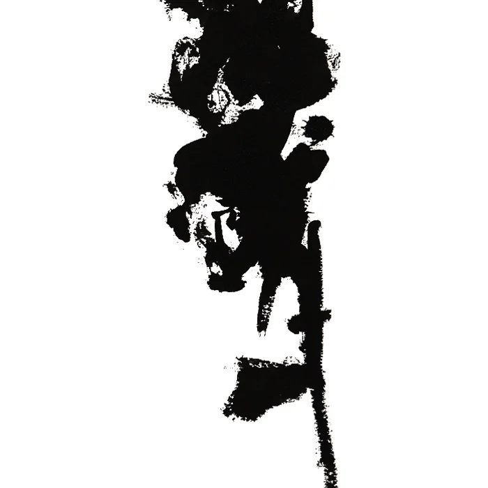 GLADIOLUS 2 - PRINT DETAIL SQ.jpg