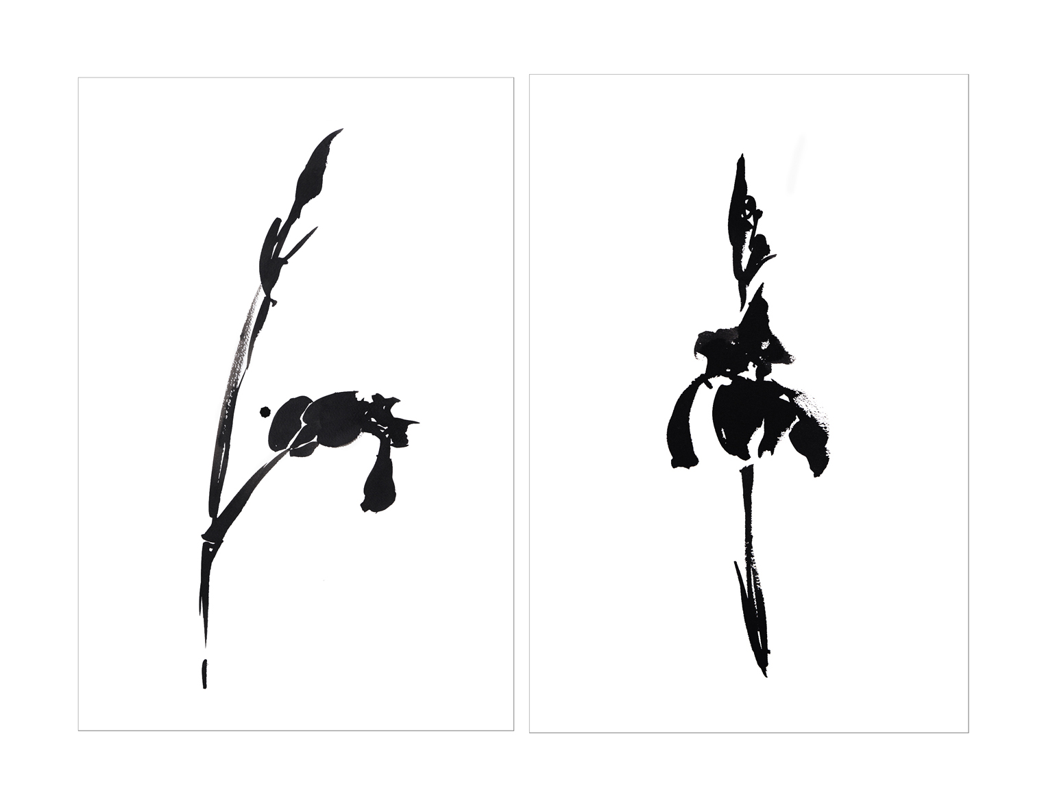 IRIS DIPTYCH.jpg