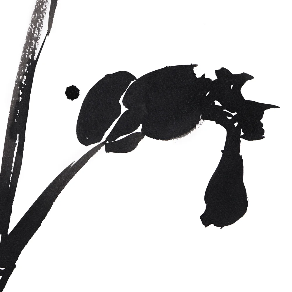 IRIS 12 12X18-DETAIL SQ 1000.jpg