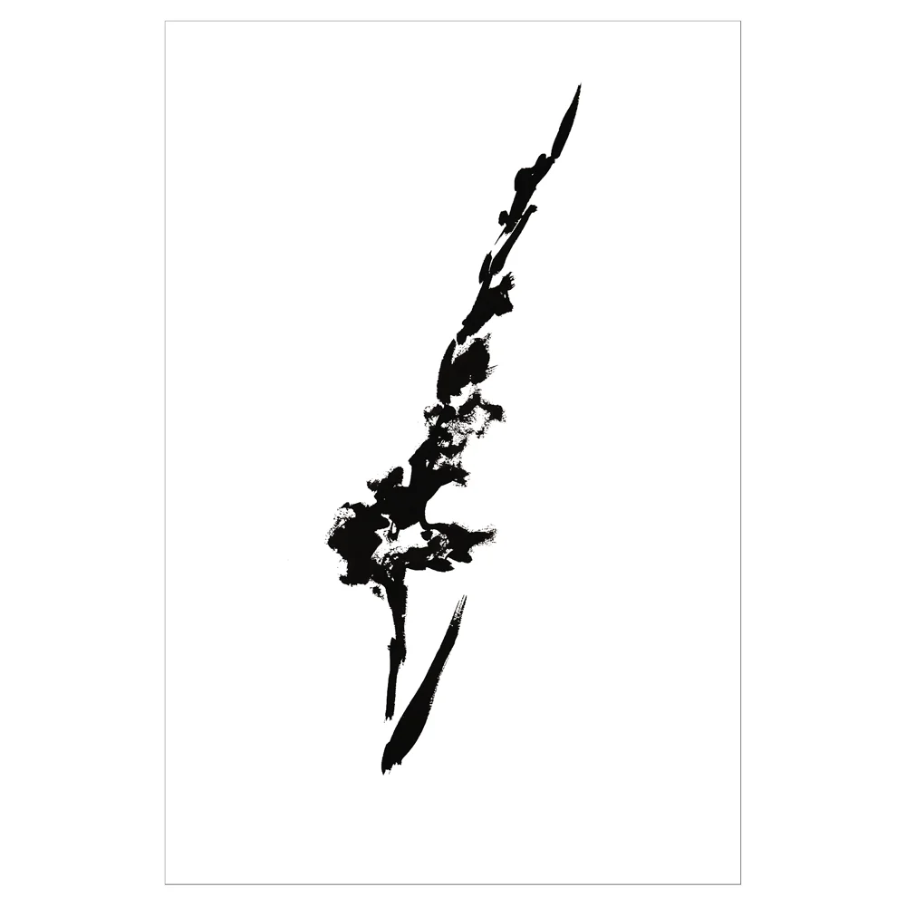 GLADIOLUS 1 PRINT1000 FRAMED&SQ.jpg