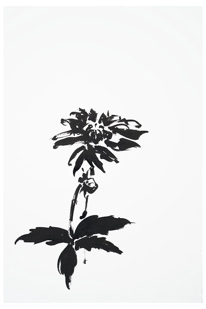 Botanical Studies · Dalhia #1
