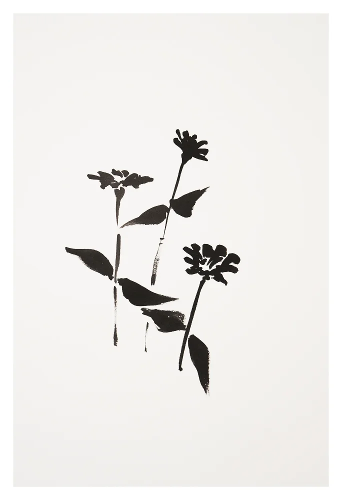 Botanical Study · Zinnia #1