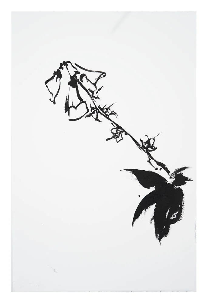 Botanical Study · Foxglove #6