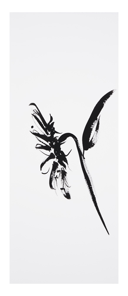 Botanical Studies · Sunflower #1