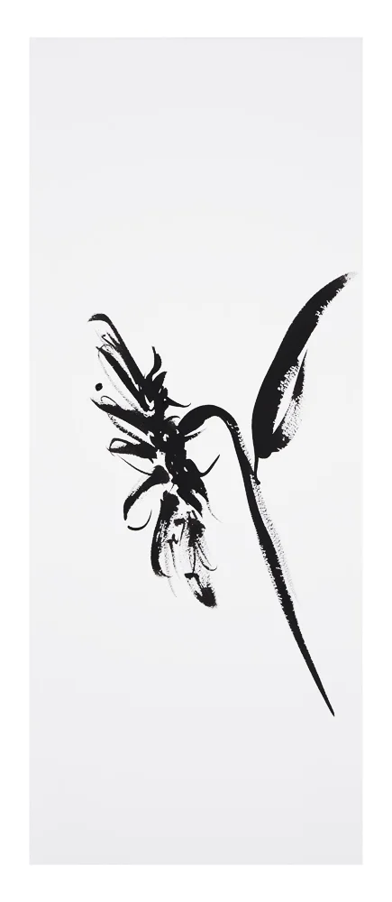 Botanical Studies · Sunflower #1