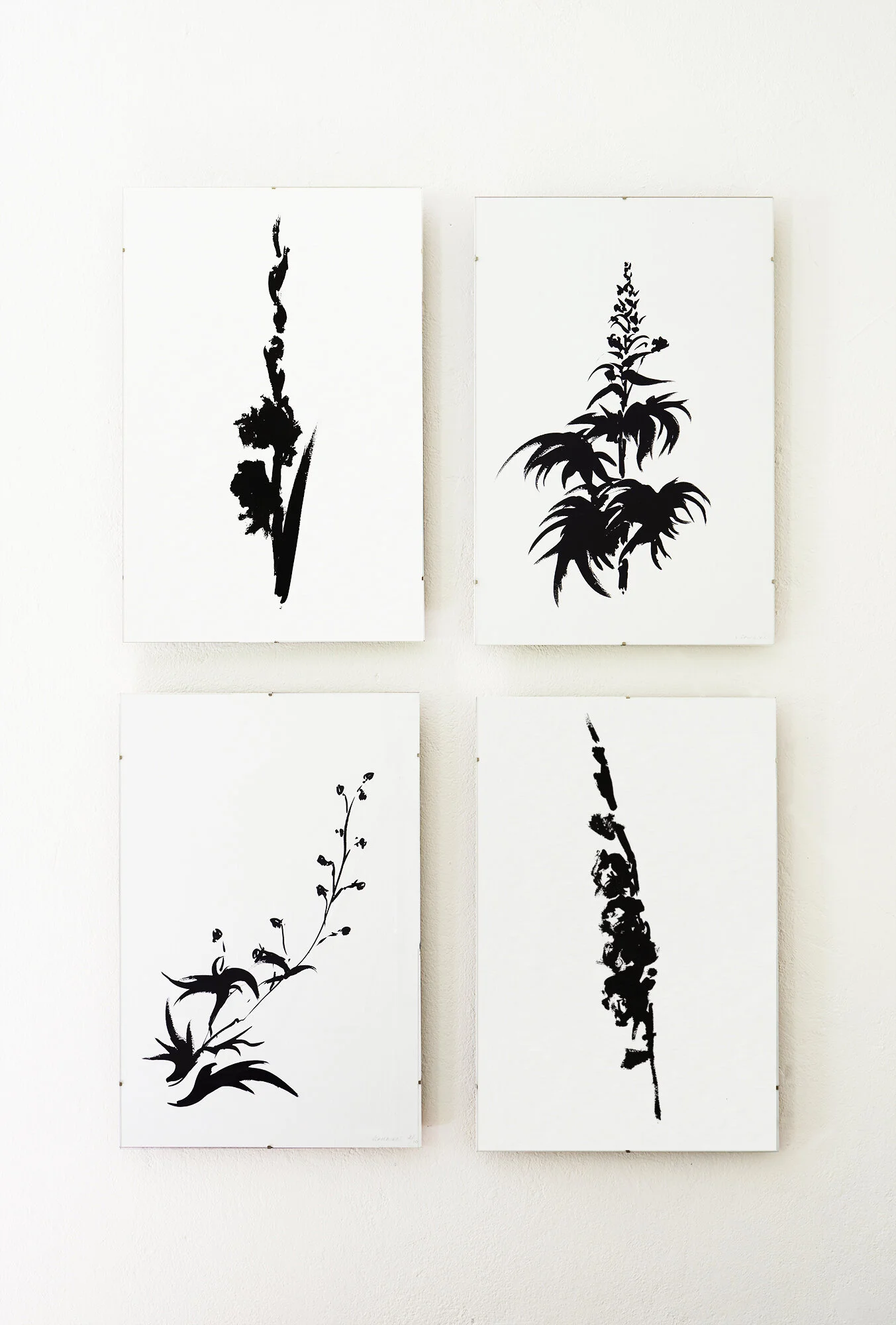2652_Veronique_Paintings_Botanical_envshots2071-ret3 2000 copy.jpg