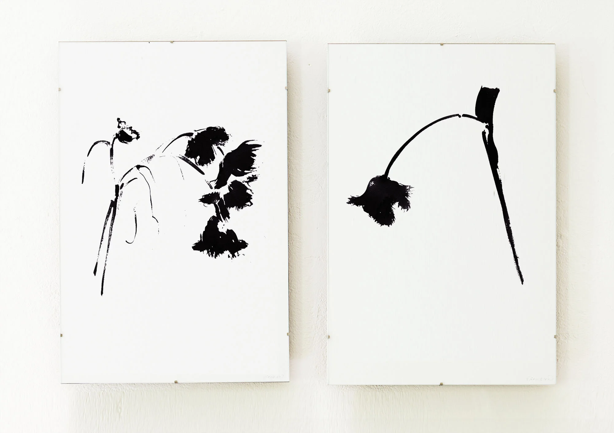 2652_Veronique_Paintings_Botanical_envshots2071-retDiptych-Tulip1-2000.jpg