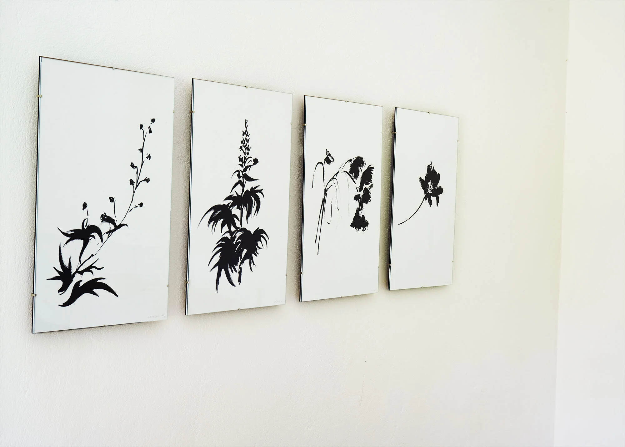 2652_Veronique_Paintings_Botanical_envshots1038-ret1-2000.jpg