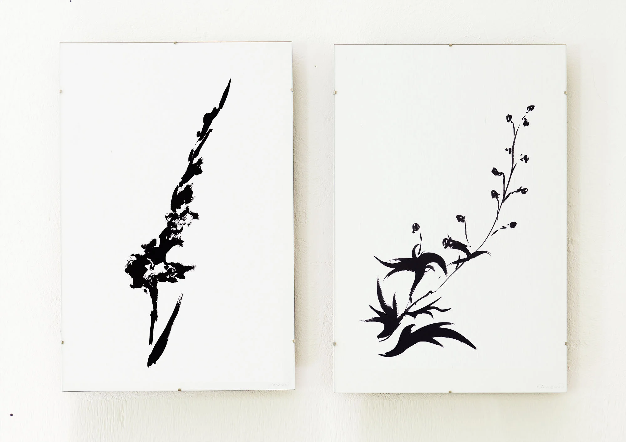 -Env_diptych_Gladiolus1&Delphimium7.jpg