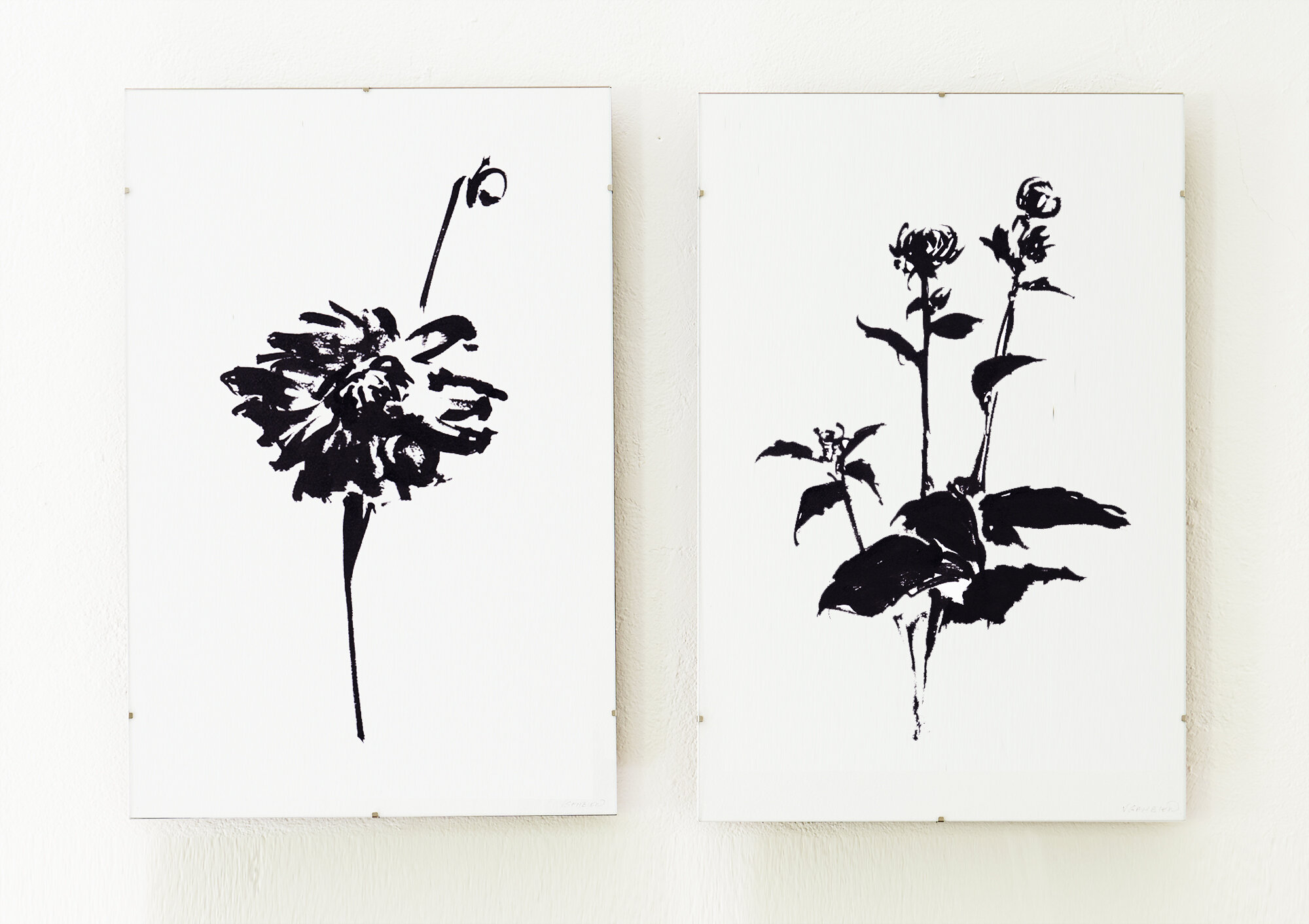 -Env_Diptych_Dalhia2&5.jpg