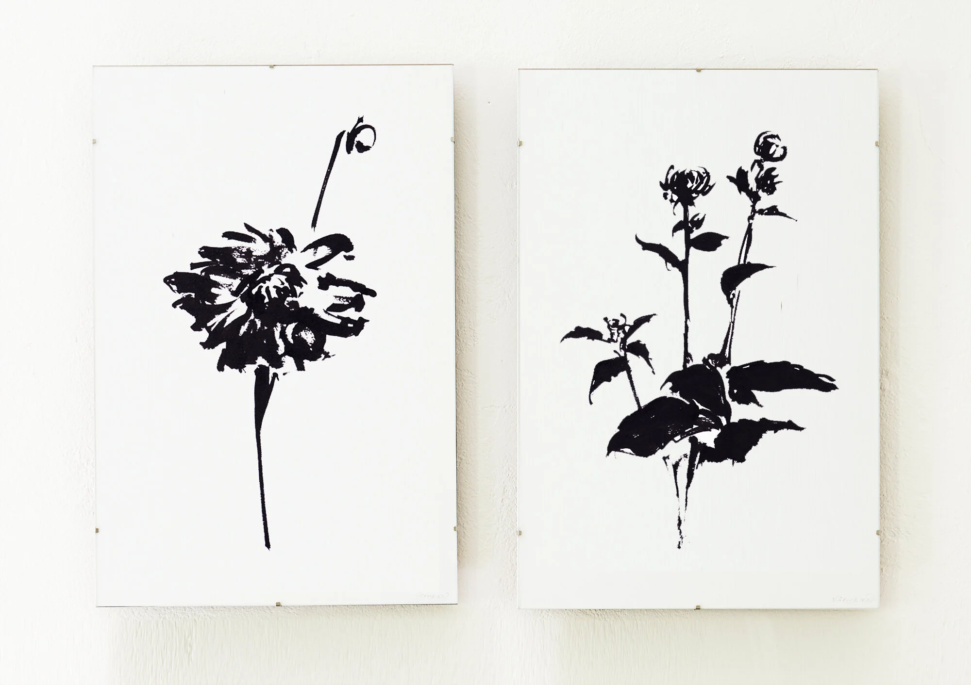 -Env_Diptych_Dalhia2&5.jpg