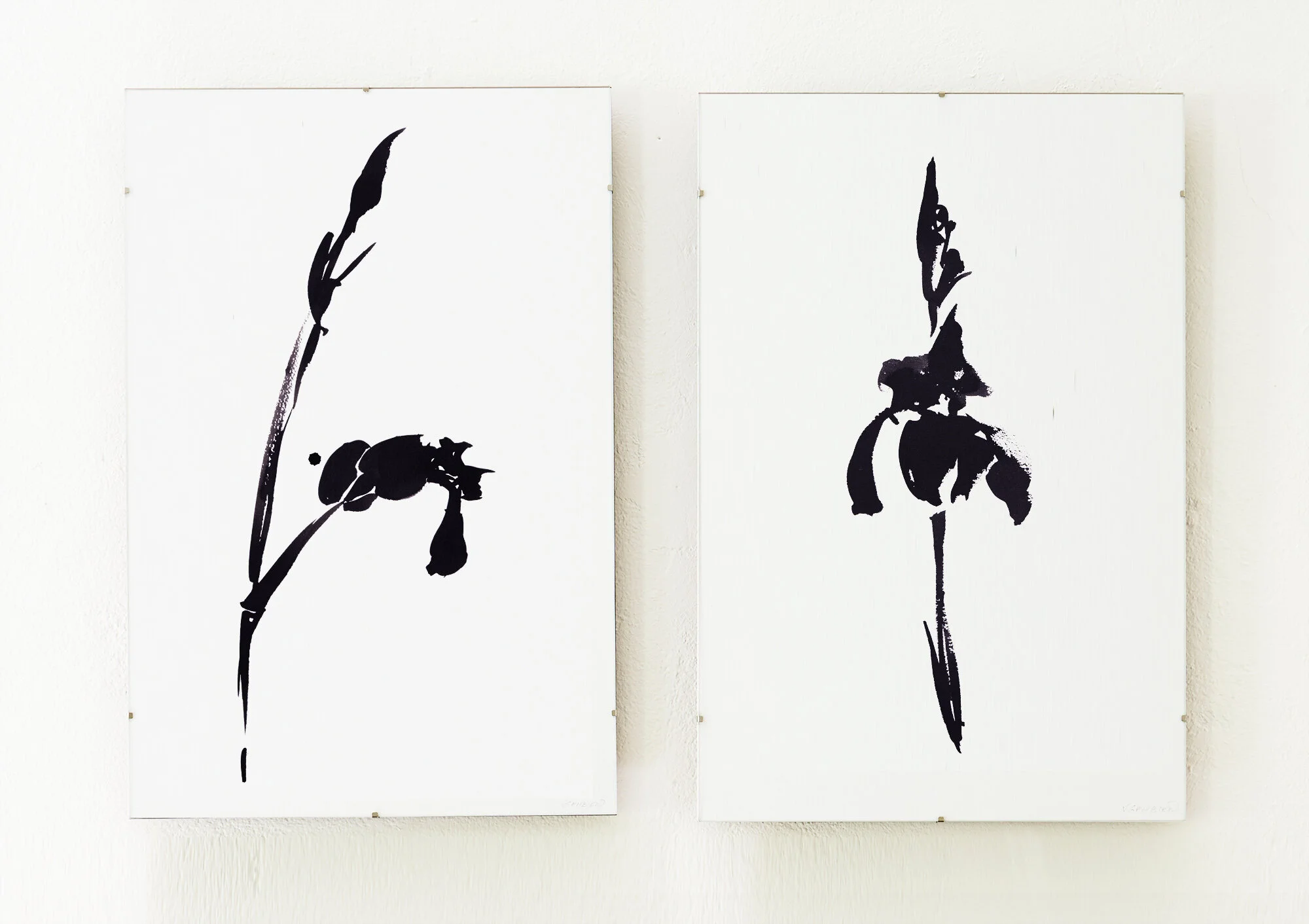 -Env-diptych_Iris12&17.jpg