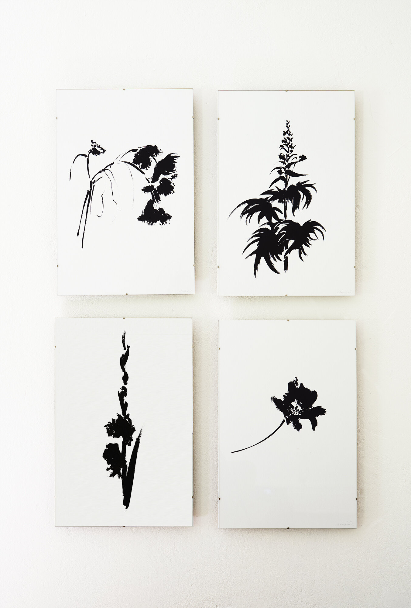 2652_Veronique_Paintings_Botanical_envshots2071-ret quad-2000.jpg