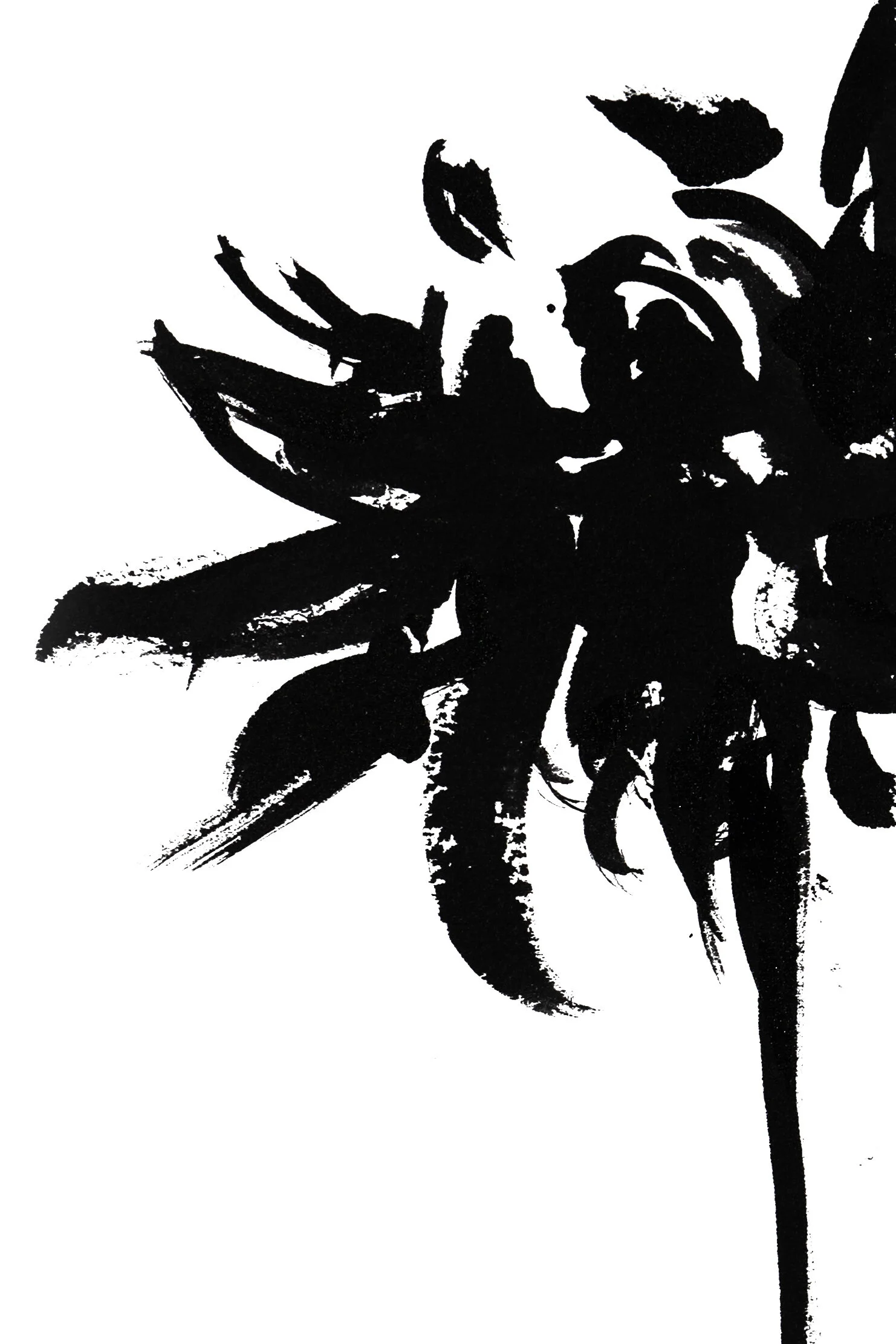 DALHIA 4-12x18 PRINT-DETAIL2000.jpg