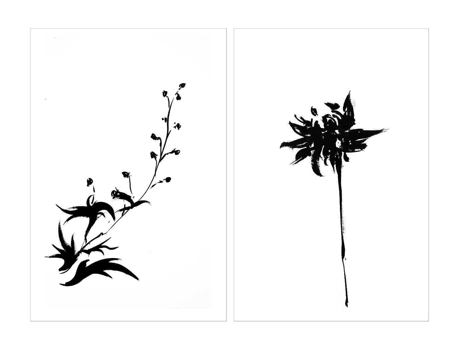 DALHIA&DELPHINIUM-DIPTYCH.jpg