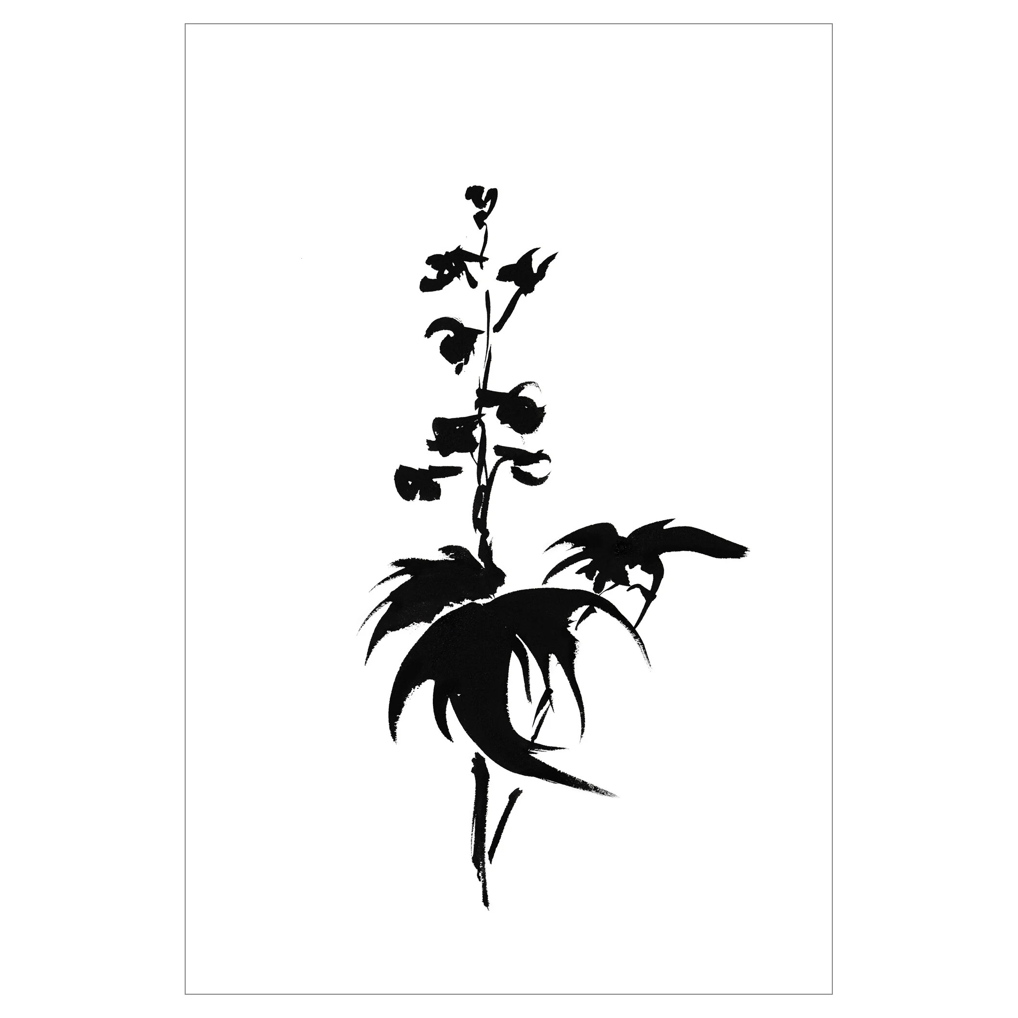 DELPHINIUM-9 PRNT 12X18-RlseWEBSITE.jpg