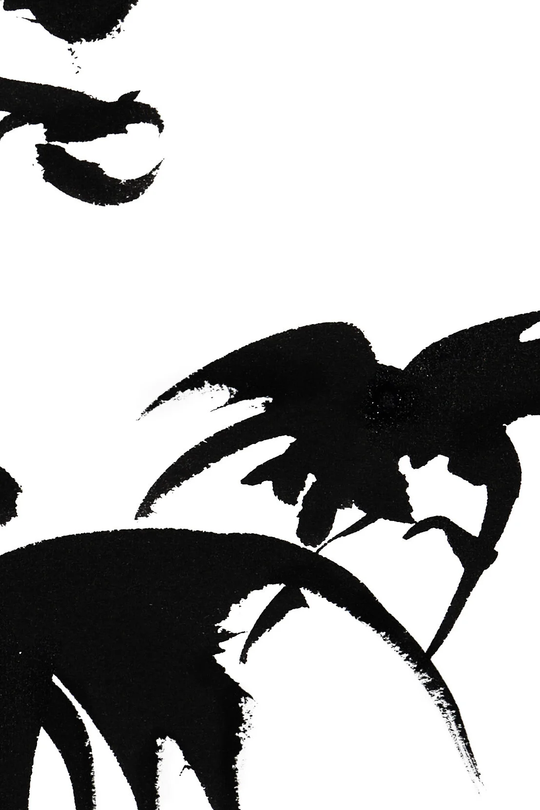 DELPHINIUM-9 PRNT 12X18-DETAIL2000.jpg