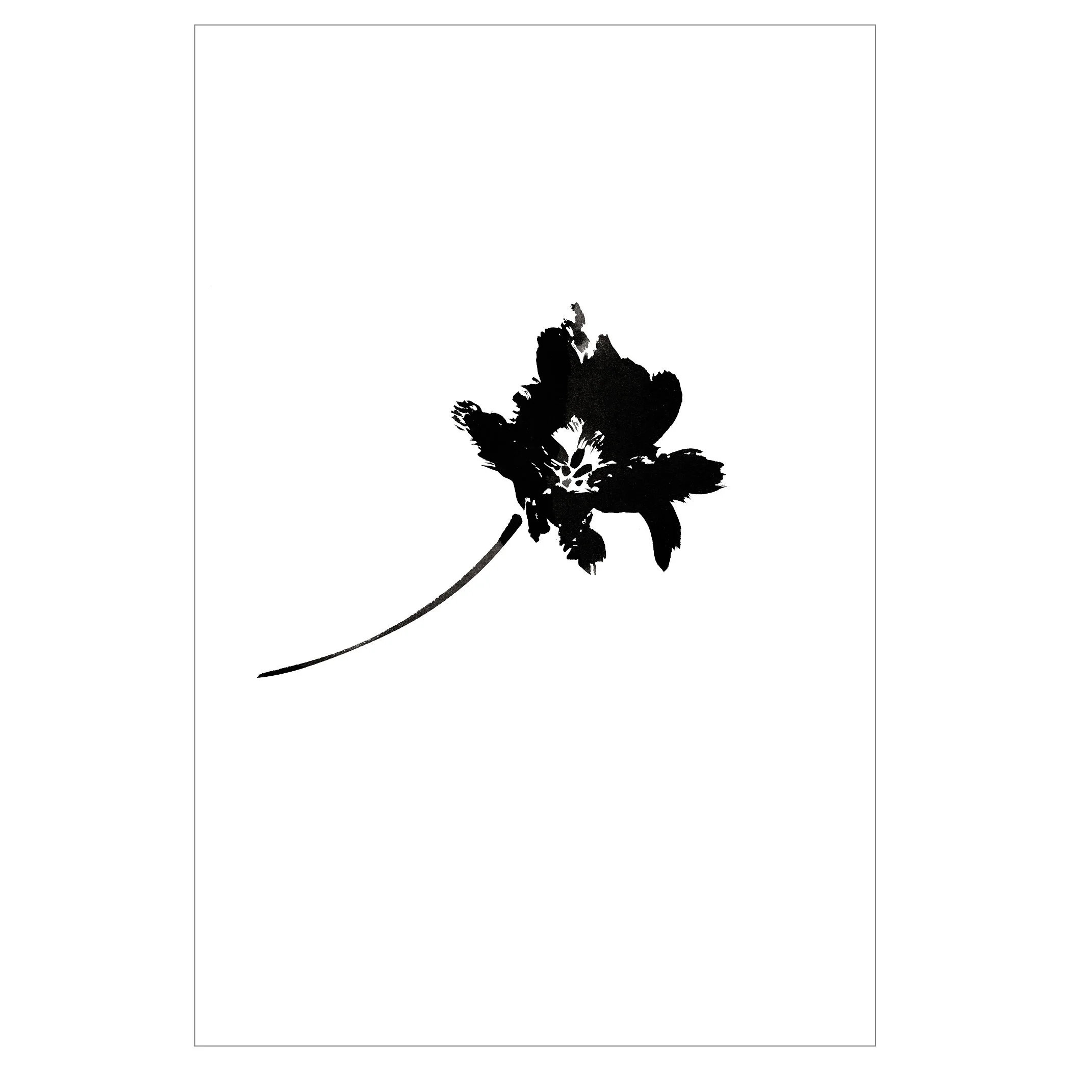 FRINGED TULIP-3 PRINT 12X18-Rlse2000SQUARESPACE.jpg